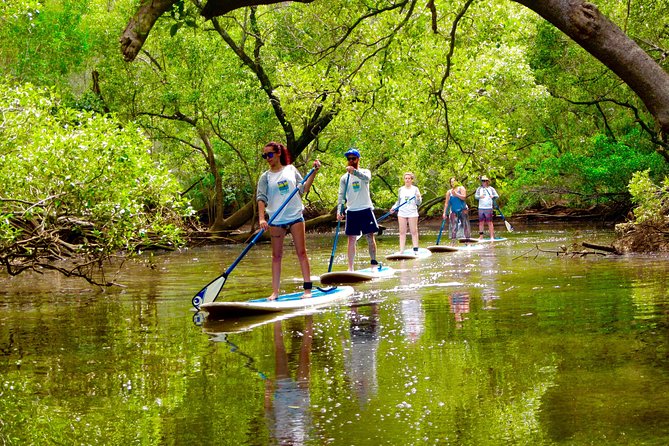 Talofa NSW Taree Accommodation