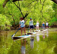 Byron Stand Up Paddle Nature Tour - Taree Accommodation