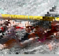 Jervis Bay Boom Netting and Dolphins Tour - Taree Accommodation