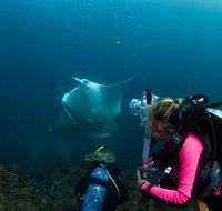 5-Hour Byron Bay Introductory Scuba Diving Tour - Taree Accommodation