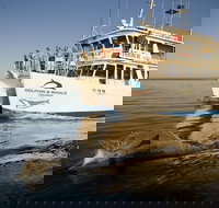 Jervis Bay Dolphin Watch Cruise - Taree Accommodation