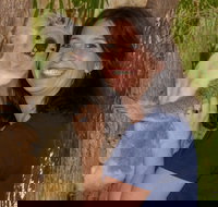 Billabong Sanctuary - Taree Accommodation