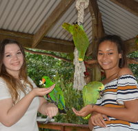 Birdworld Kuranda - Taree Accommodation