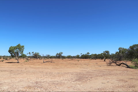 Bladensburg National Park - Taree Accommodation 1