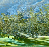 Bonville Golf Resort - Taree Accommodation