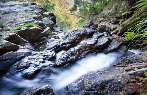 Casuarina Falls Circuit - Taree Accommodation 0