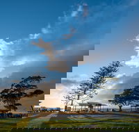 Cleveland Nandeebie/Indillie - Taree Accommodation