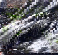 Darkes Forest - Taree Accommodation