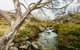 Dead Horse Gap Walking Track - thumb 0