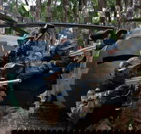 Delta Force Paintball Appin - Taree Accommodation