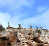 Dirk Hartog Island National Park - Taree Accommodation