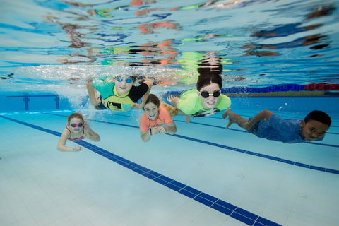 East Maitland Aquatic Centre - Taree Accommodation 1