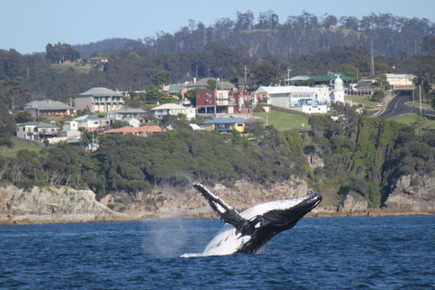 Eden - Taree Accommodation 2