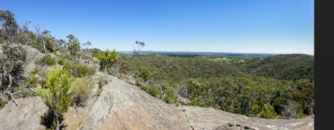 Hale Conservation Park - Taree Accommodation 0