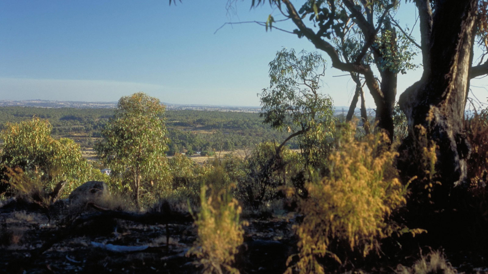Sheep Hills VIC Taree Accommodation
