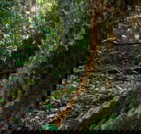 Hidden Treasure Track - Taree Accommodation