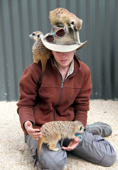 Hunter Valley Zoo - Taree Accommodation 2