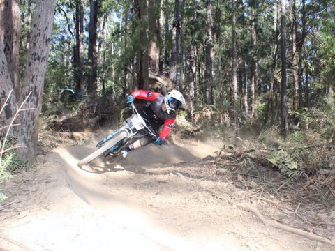 Jolly Nose Mountain Bike Park - Taree Accommodation 0