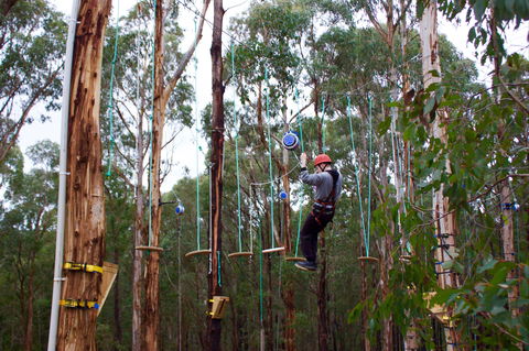 Kinglake Forest Adventures - Taree Accommodation 0