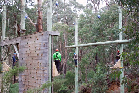 Kinglake Forest Adventures - Taree Accommodation 1