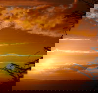 Lady Stonehavens Lookout - Taree Accommodation