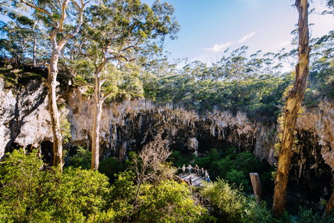 Lake Cave - Taree Accommodation 2