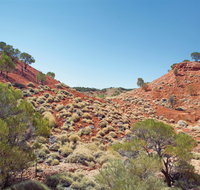 Lark Quarry Conservation Park - Taree Accommodation