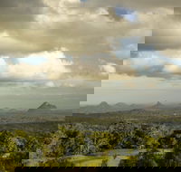 Mary Cairncross Scenic Reserve Rainforest Walk - Taree Accommodation