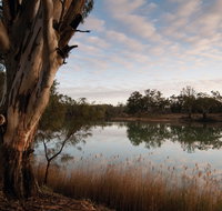 Murray-Kulkyne Regional Park - Taree Accommodation