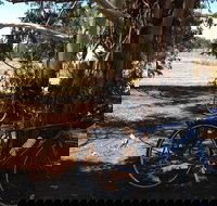 Murchison Rail Trail - Taree Accommodation