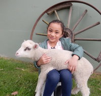 Myuna Farm - Taree Accommodation