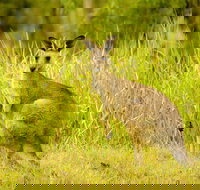 Perseverance - Taree Accommodation