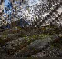 Pheasants Peak Walking Track - Taree Accommodation