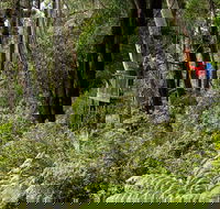 Pipers lookout - Taree Accommodation