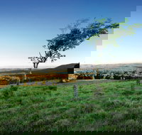 Ravensbourne National Park - Taree Accommodation