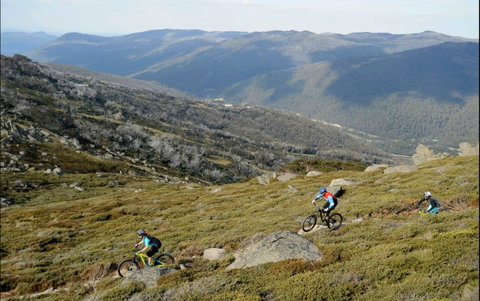 Thredbo Mountain Biking - Taree Accommodation 0