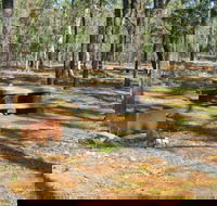 Two Dams picnic area - Taree Accommodation