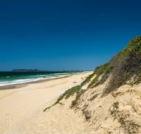 Tyagarah Nature Reserve Picnic Area - Taree Accommodation