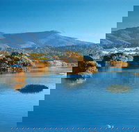 Wagonga Picnic Area - Taree Accommodation