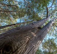 Wallumatta Nature Reserve - Taree Accommodation