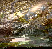 Wendy Whiteley's Secret Garden - Taree Accommodation