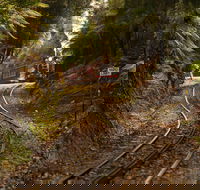 West Coast - Taree Accommodation