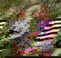 White Cottage - Taree Accommodation