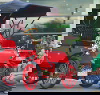 Wonders of Wynyard  Exhibition and Visitor Information Centre - Taree Accommodation