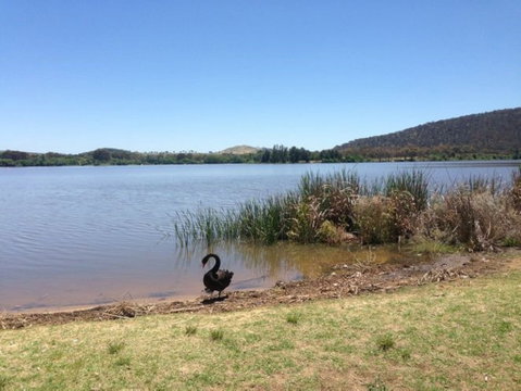 Yarralumla Bay - Taree Accommodation 0