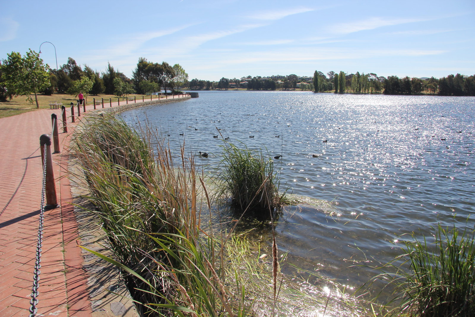 Amaroo ACT Taree Accommodation