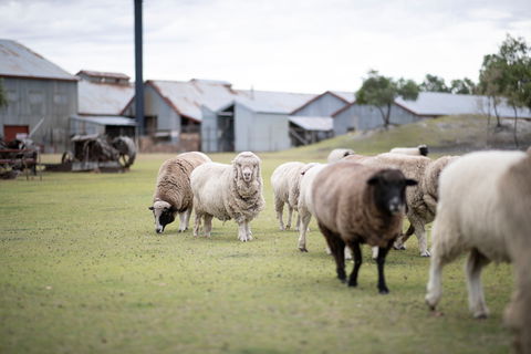 14 Day Gems Of The Outback - Taree Accommodation 2