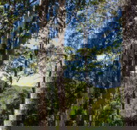 Basin Loop Track - Taree Accommodation