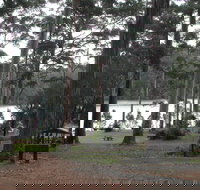 Big Brook Arboretum - Taree Accommodation