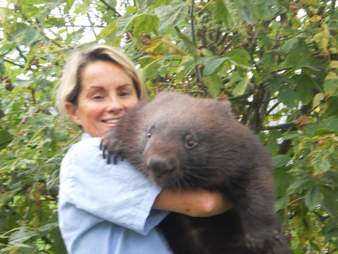 Birdland Animal Park - Taree Accommodation 2
